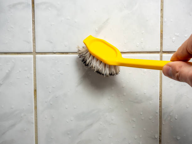Best Best Mold Removal Companies  in Breezy Point, MN
