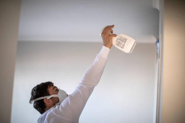 Best Black Mold Removal  in Breezy Point, MN